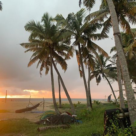 Shoreline Marari Beach Villa At Golden Beach Mararikulam Alappuzha Zewnętrze zdjęcie