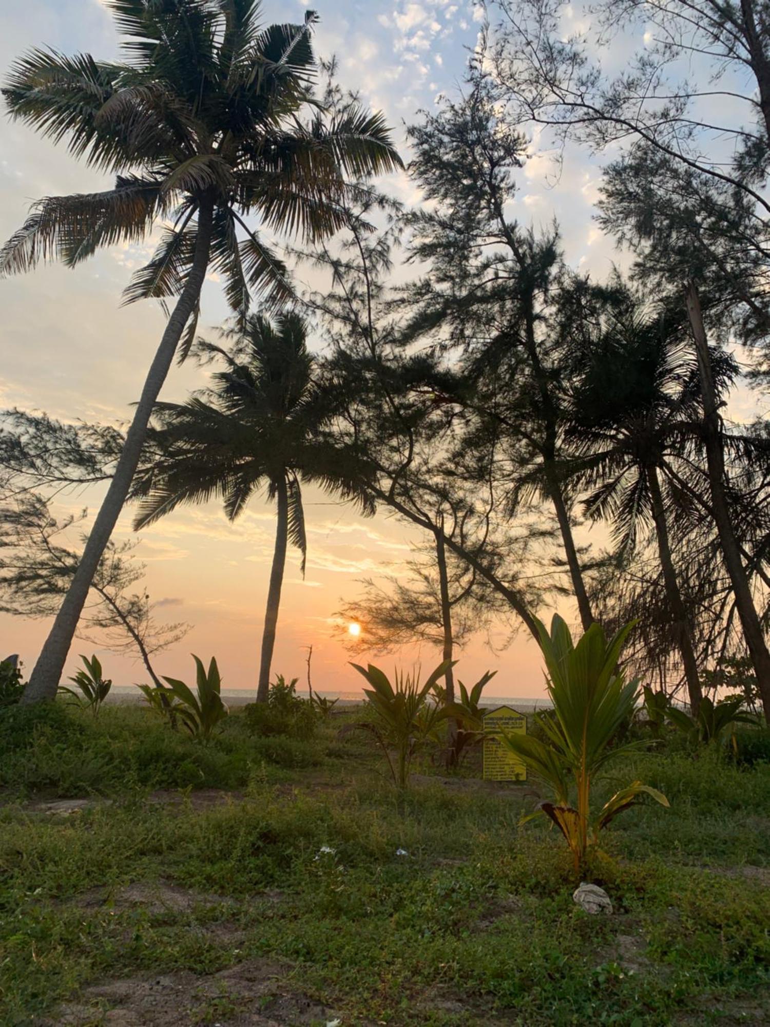 Shoreline Marari Beach Villa At Golden Beach Mararikulam Alappuzha Zewnętrze zdjęcie